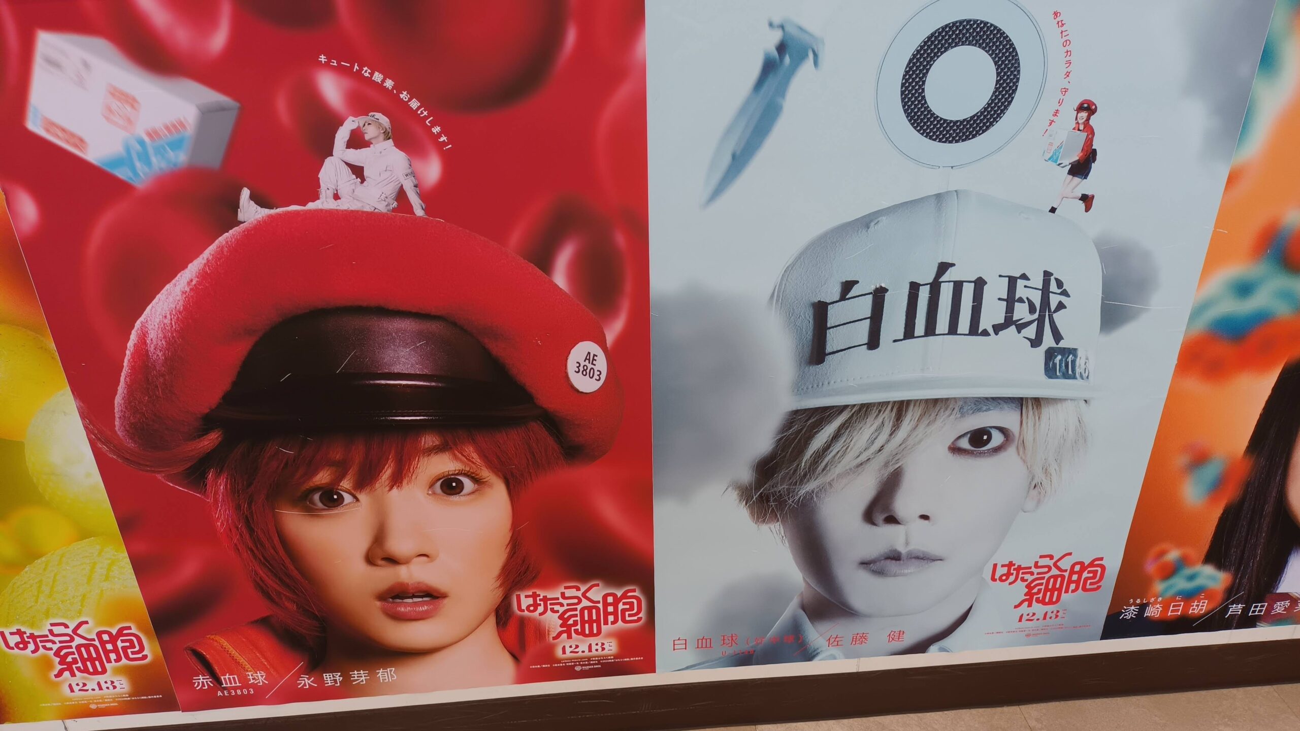 Thumbnail of post image 183