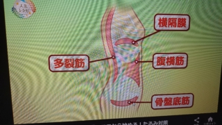 Thumbnail of post image 066