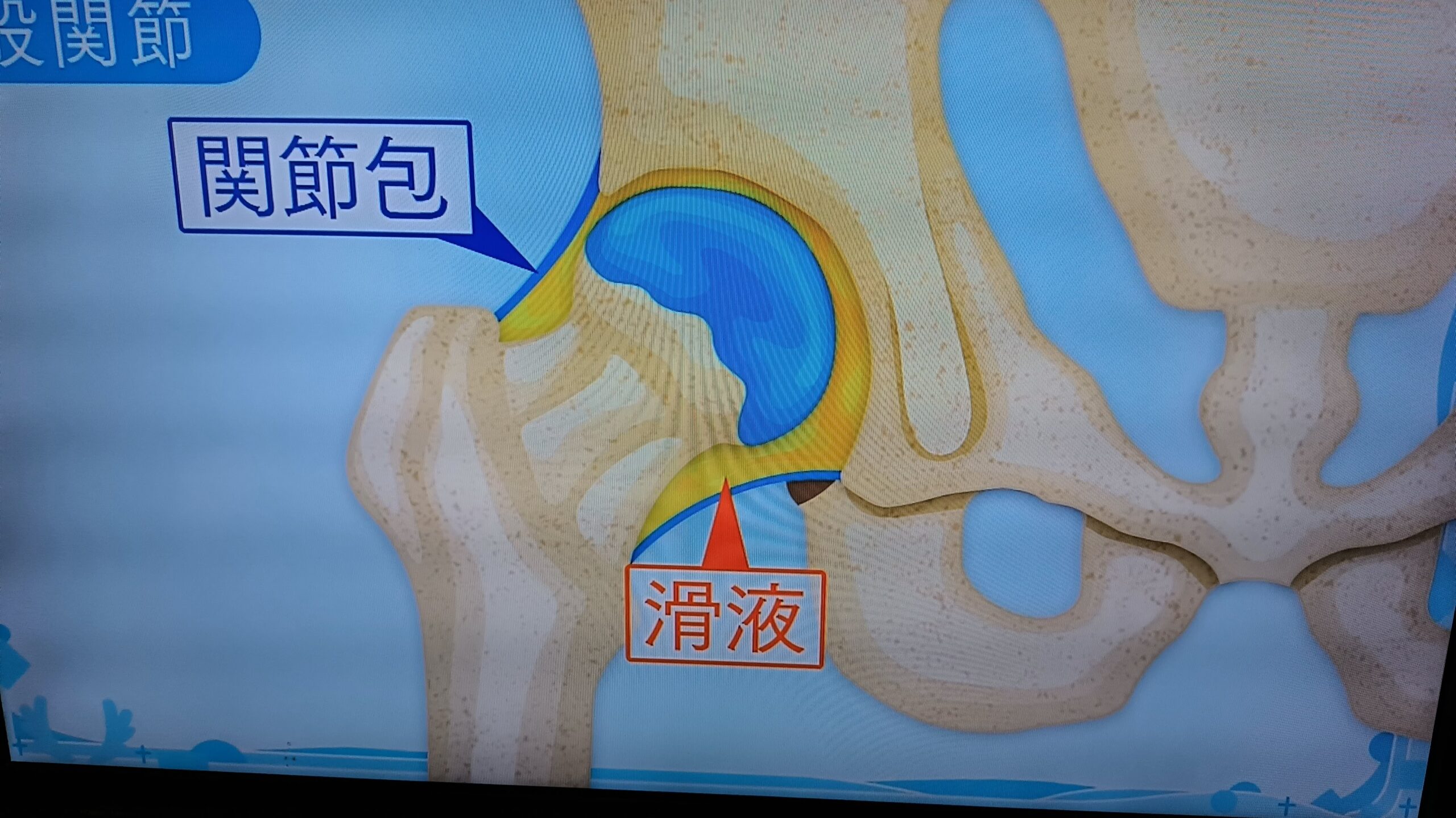 Thumbnail of post image 179