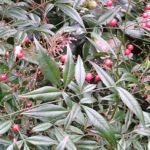 Thumbnail of related posts 054