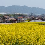 Thumbnail of related posts 122