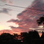 Thumbnail of related posts 117