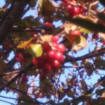 Thumbnail of related posts 188