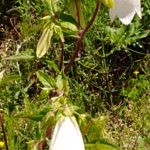 Thumbnail of related posts 173