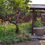 Thumbnail of related posts 165