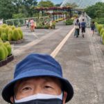 Thumbnail of related posts 188