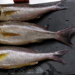 Thumbnail of related posts 107