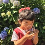 Thumbnail of related posts 144