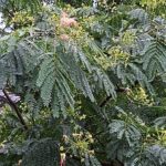 Thumbnail of related posts 032