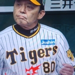 Thumbnail of related posts 177