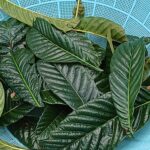 Thumbnail of related posts 092