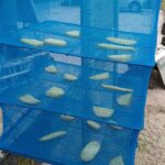 Thumbnail of related posts 164