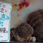 Thumbnail of related posts 078