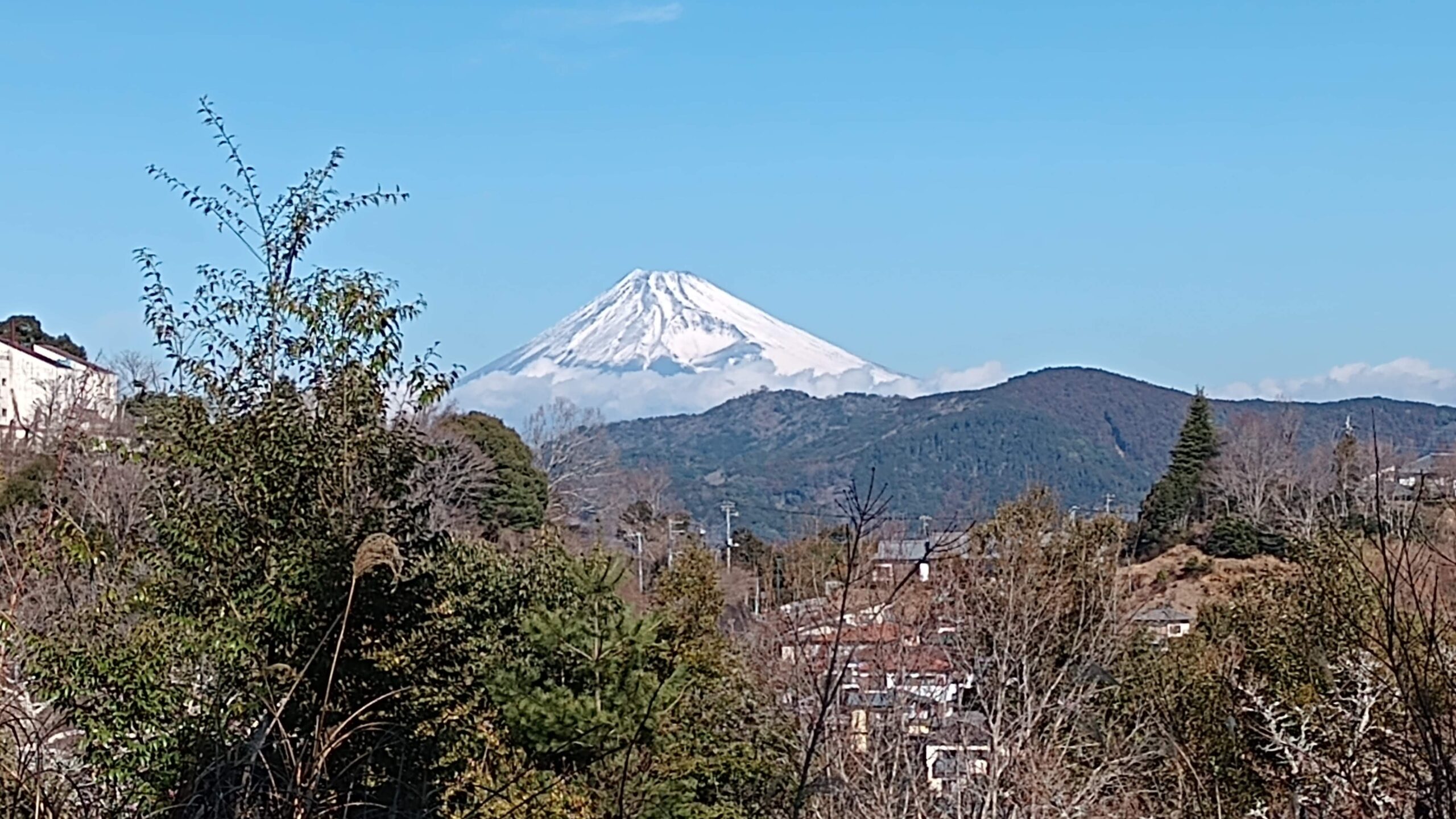 Thumbnail of post image 185