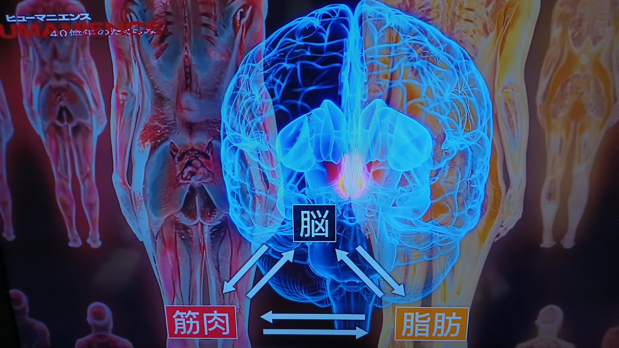 Thumbnail of post image 198